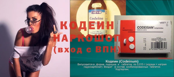 ГАЛЛЮЦИНОГЕННЫЕ ГРИБЫ Гусев