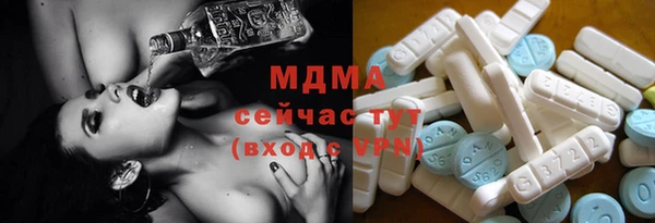 ГАЛЛЮЦИНОГЕННЫЕ ГРИБЫ Гусев
