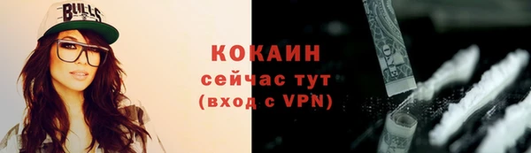 метадон Гусь-Хрустальный