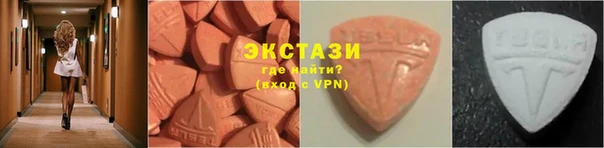 ГАЛЛЮЦИНОГЕННЫЕ ГРИБЫ Гусев