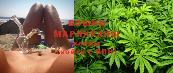 метадон Гусь-Хрустальный