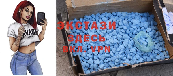 ГАЛЛЮЦИНОГЕННЫЕ ГРИБЫ Гусев