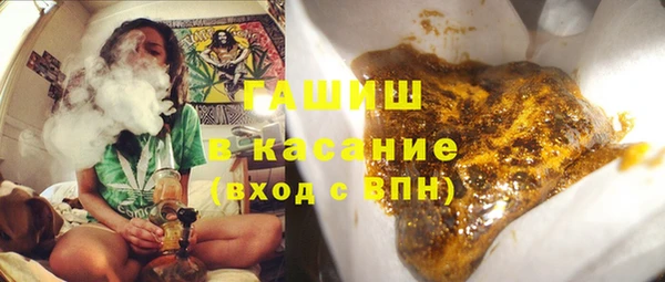 ГАЛЛЮЦИНОГЕННЫЕ ГРИБЫ Гусев