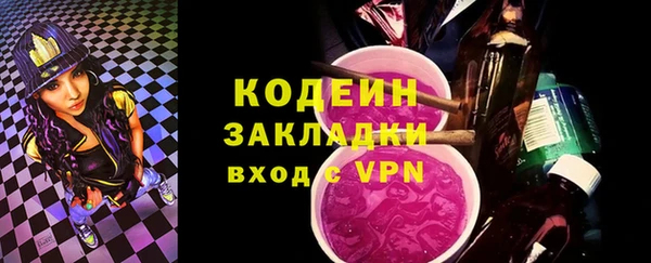 ГАЛЛЮЦИНОГЕННЫЕ ГРИБЫ Гусев