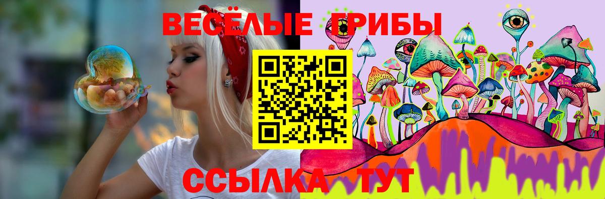 Псилоцибиновые грибы Psilocybe Мценск