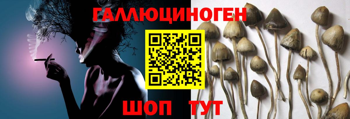 Псилоцибиновые грибы Magic Shrooms Мценск